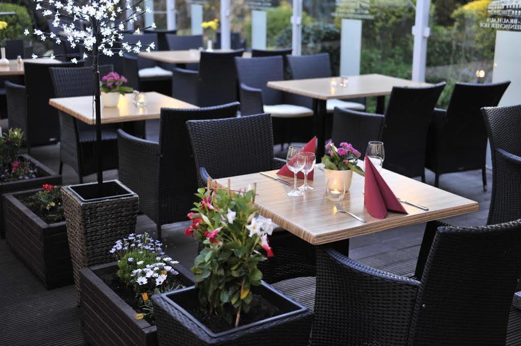 Hotel Celina Niederrheinischer Hof Krefeld Exteriér fotografie